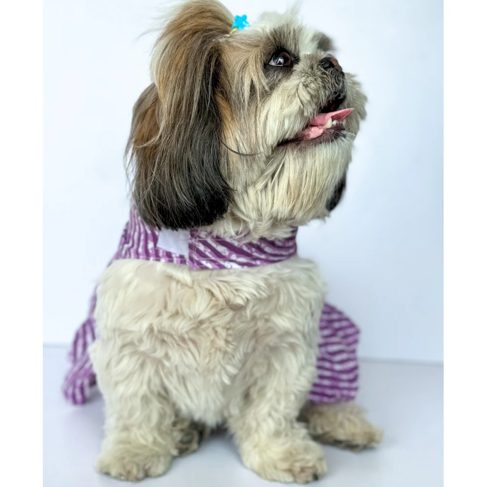 Pawgypets Lehriya Dress for Dogs and Cats (Purple) - Image 2