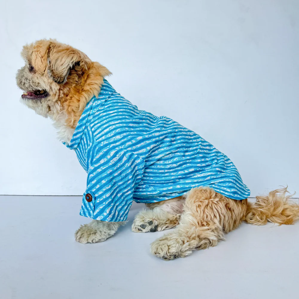 Pawgypets Lehriya Kurta for Dogs and Cats (Blue) - Image 4