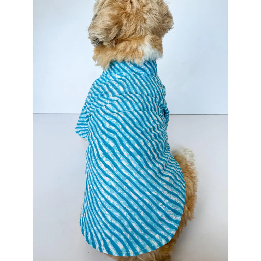 Pawgypets Lehriya Kurta for Dogs and Cats (Blue) - Image 6