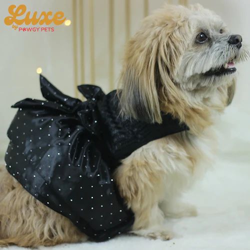 Pawgypets Luxe Balloon Dress for Dogs and Cats (Black) - Image 4