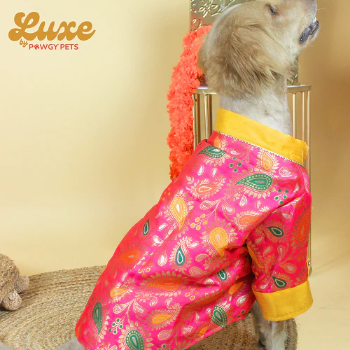 Pawgypets Luxe Barcade Kurta for Dogs and Cats (Pink) - Image 5