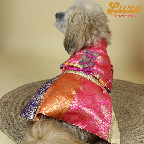 Pawgypets Luxe Brocade Colour Block Lehenga Dogs and Cats - Image 4
