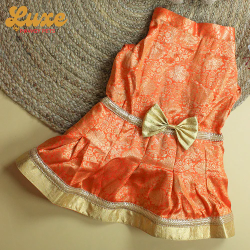 Pawgypets Luxe Brocade Dress Dogs and Cats (Orange) - Image 3