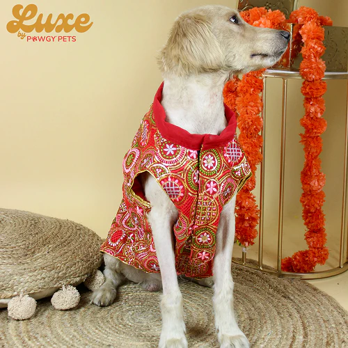 Pawgypets Luxe Embroidered Kurta for Dogs and Cats (Red) - Image 4