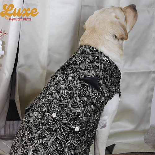 Pawgypets Luxe Embroidered Velvet Sherwani for Dogs and Cats (Black) - Image 3