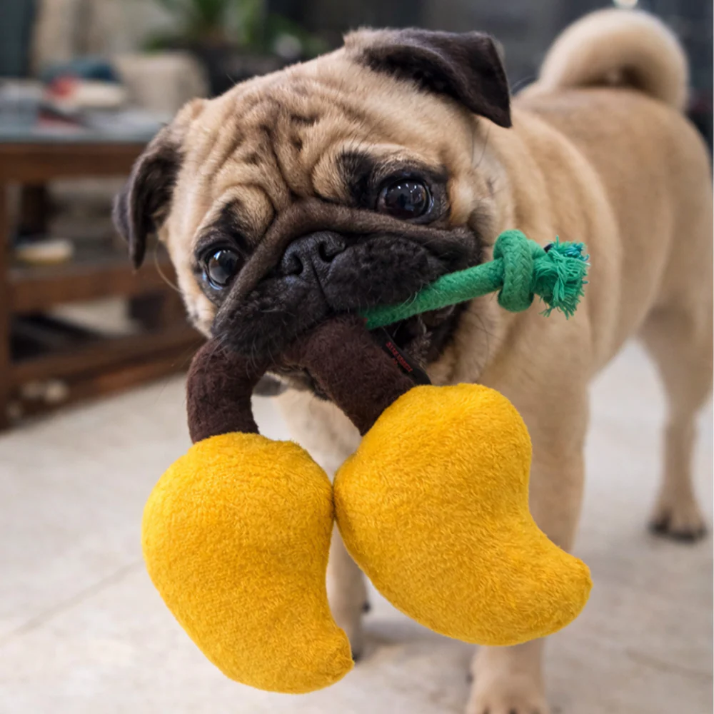 Pawgypets Mango Plush with Rope Toy for Dogs (Yellow) - Image 3
