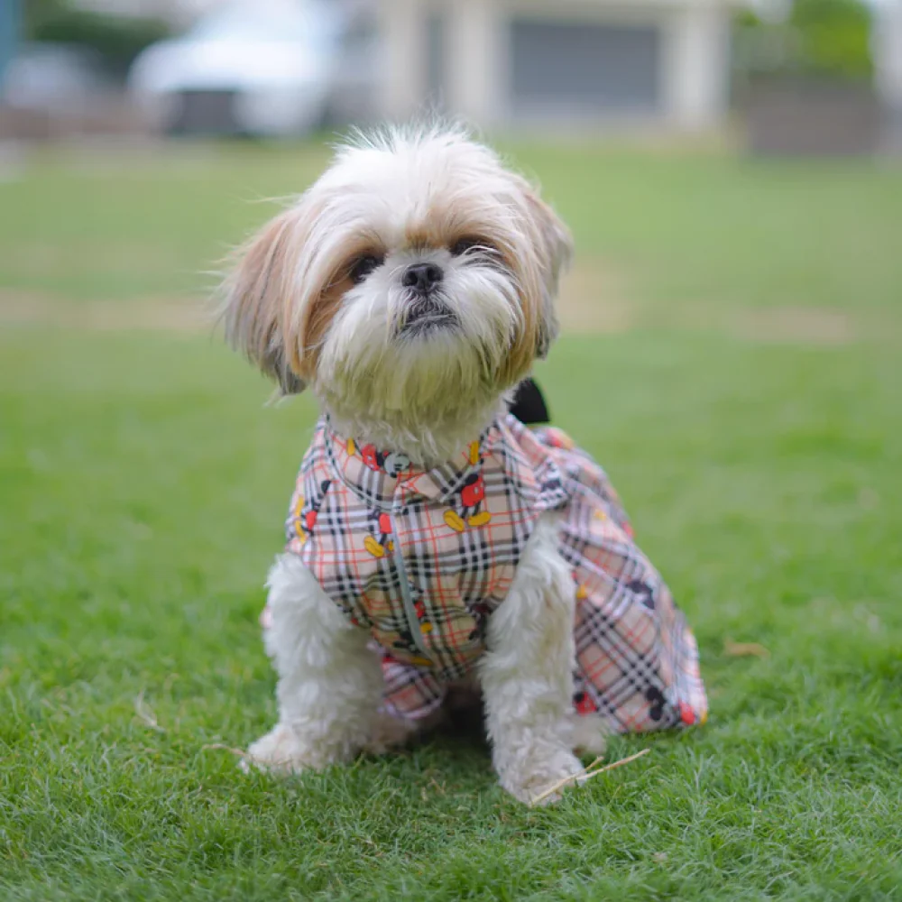 Pawgypets Mickey Check Dress for Dogs (Beige) - Image 3
