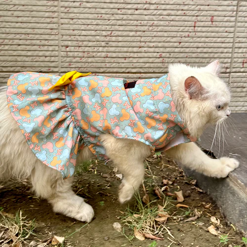 Pawgypets Mickey Overloaded Dress for Cats (Pastel Green) - Image 3