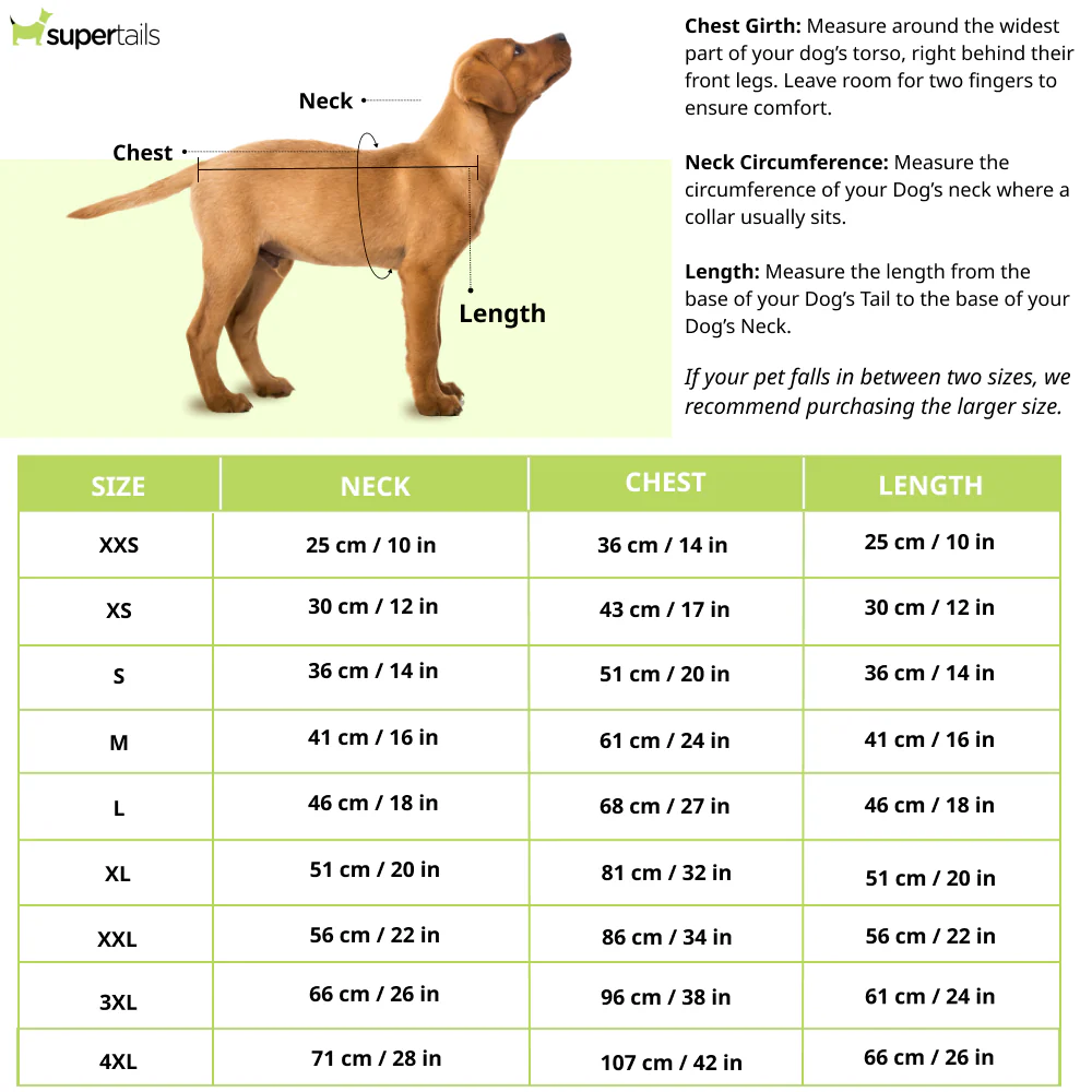 Pawgypets Mickey Overloaded Dress for Dogs (Pastel Green) - Image 2