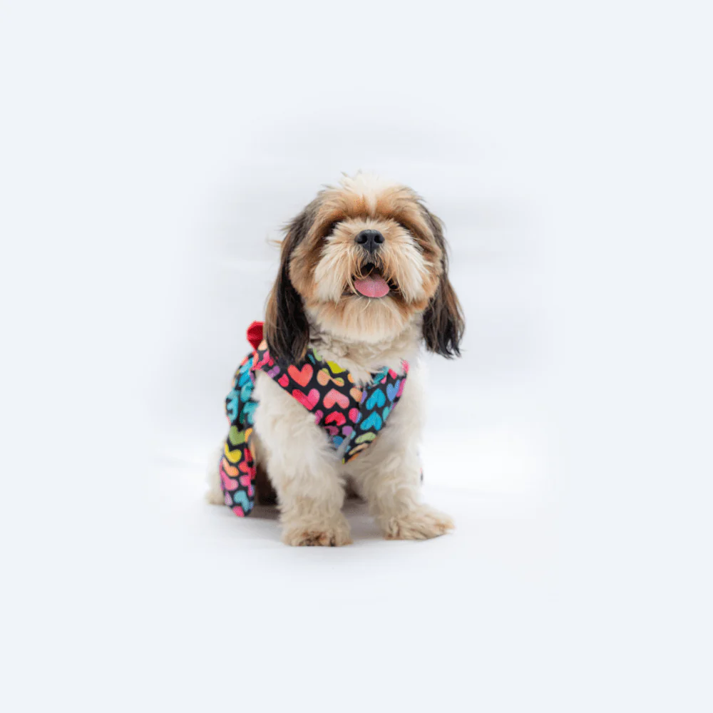 Pawgypets Multi Heart Casual Dress for Dogs and Cats - Image 4