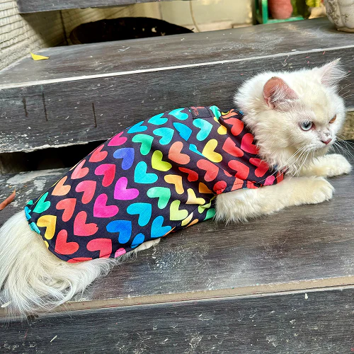 Pawgypets Multi Heart Sando for Cats (Multi Colour) - Image 3