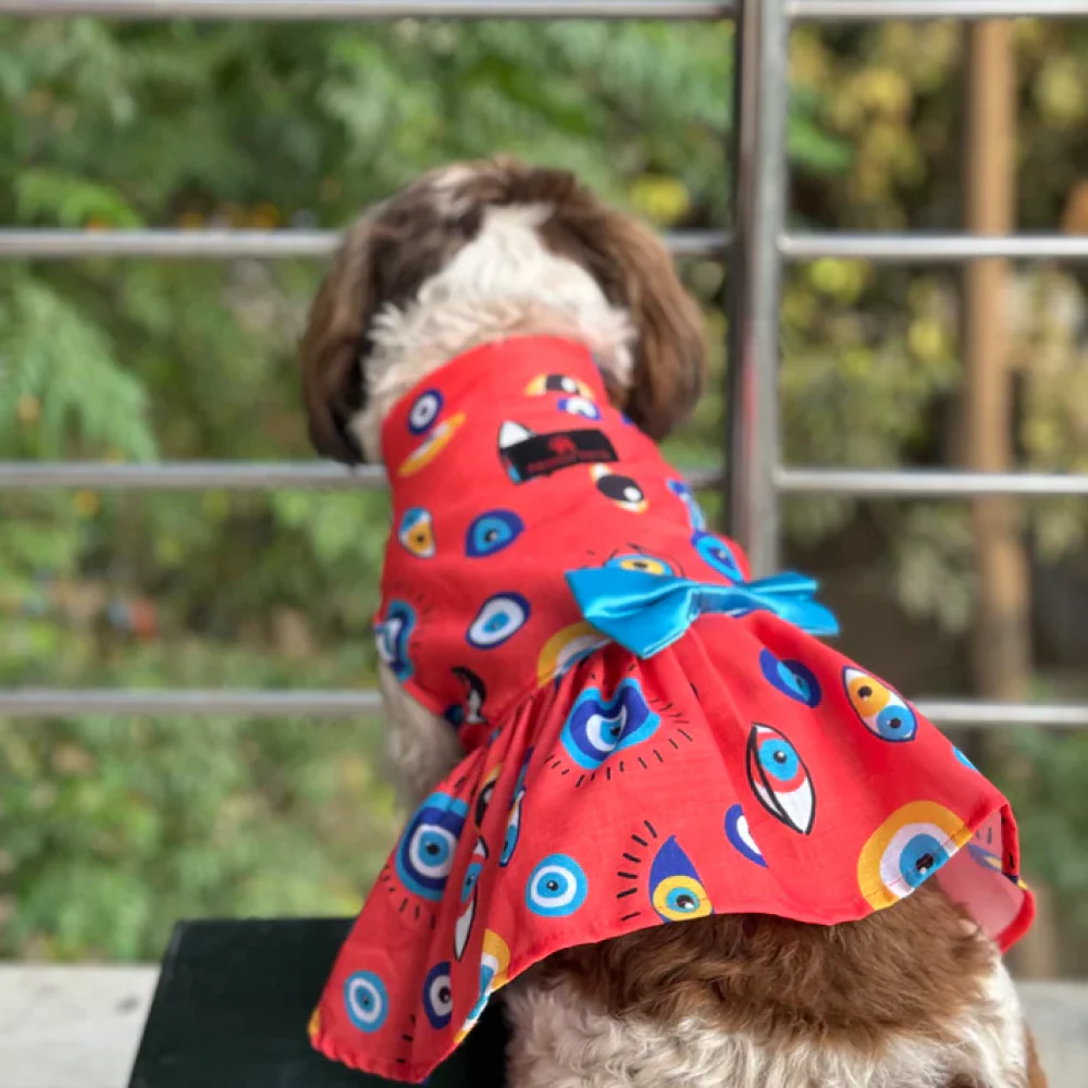 Pawgypets Nazar Na Lage Dress for Dogs (Red) - Image 4