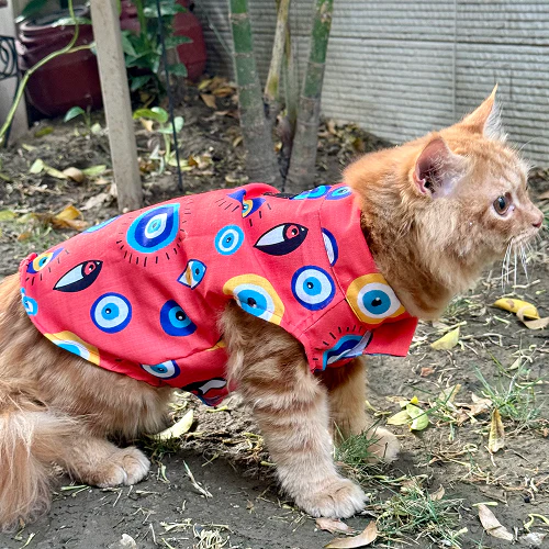 Pawgypets Nazar Na Lage Sando for Cats (Red) - Image 4