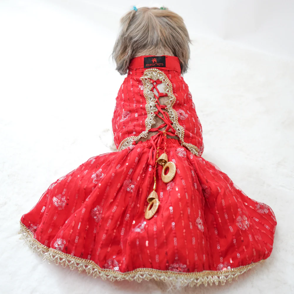 Pawgypets Net Lehenga for Dogs (Red) - Image 3
