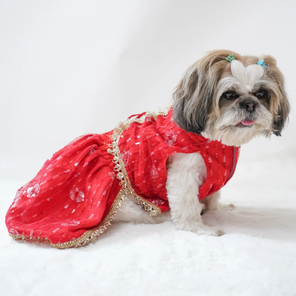 Pawgypets Net Lehenga for Dogs (Red) - Image 4