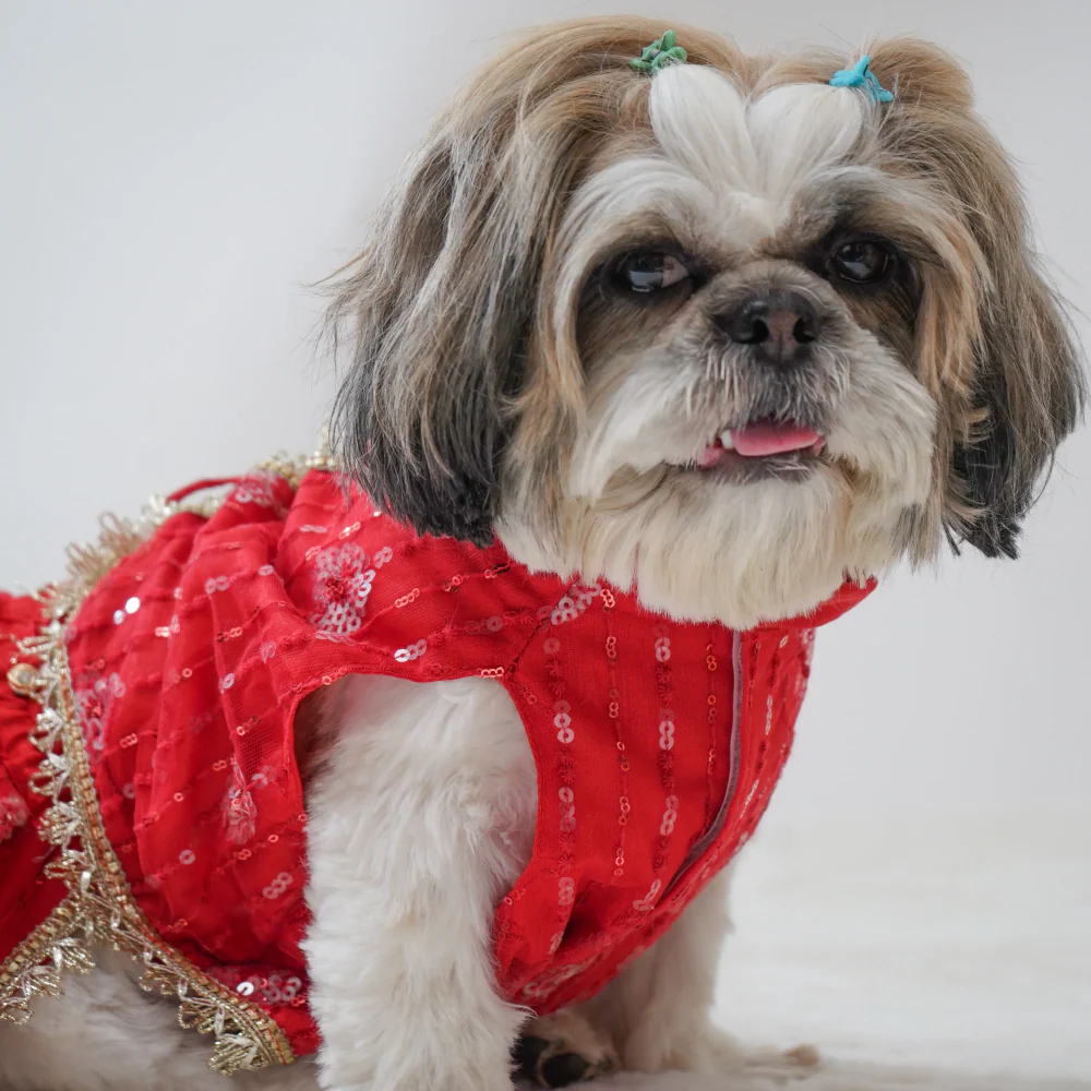 Pawgypets Net Lehenga for Dogs (Red) - Image 5