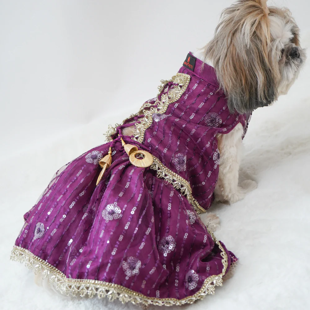 Pawgypets Net Lehenga for Dogs (Violet) - Image 2