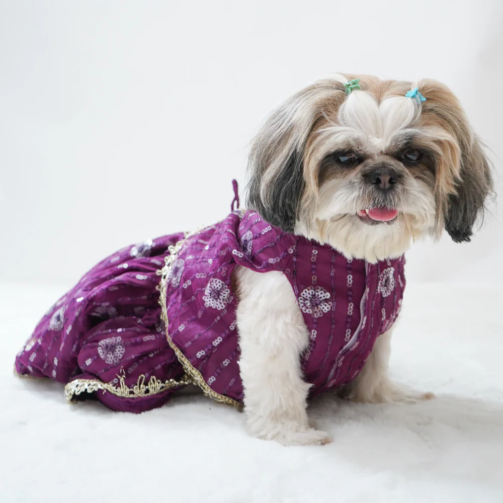 Pawgypets Net Lehenga for Dogs (Violet) - Image 3