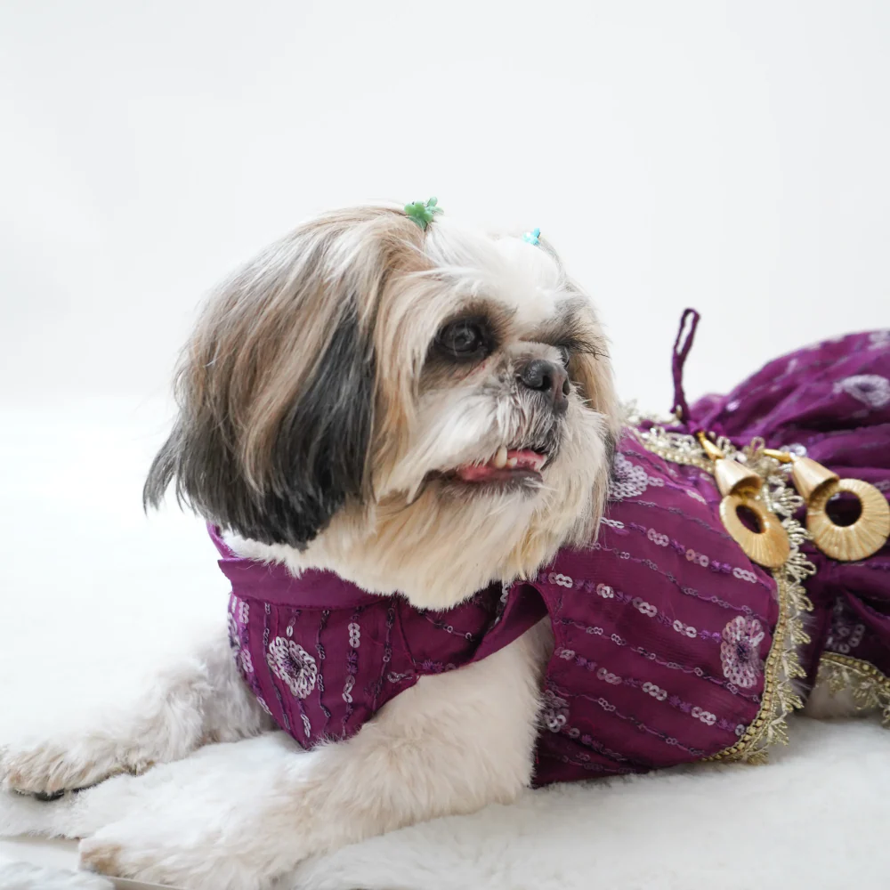 Pawgypets Net Lehenga for Dogs (Violet) - Image 6