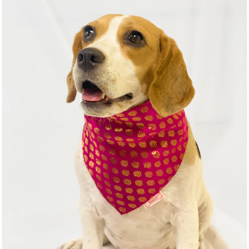 Pawgypets Occasion Wear Bandana for Dogs and Cats (Pink) - Image 3