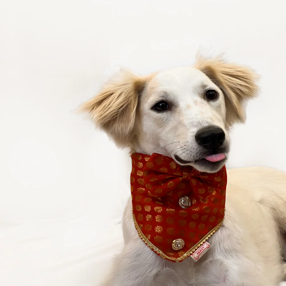 Pawgypets Occasion Wear Bow Bandana for Dogs and Cats (Red) - Image 2