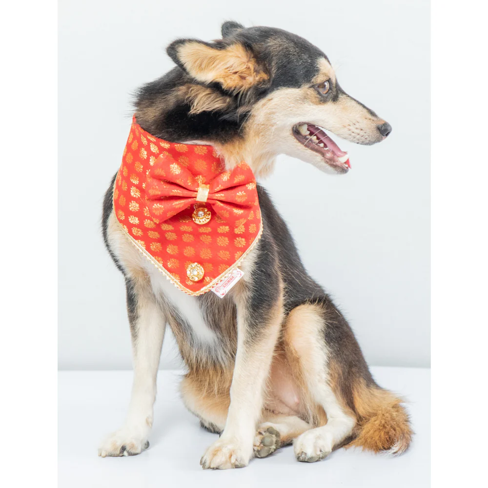 Pawgypets Occasion Wear Bow Bandana for Dogs and Cats (Red) - Image 3