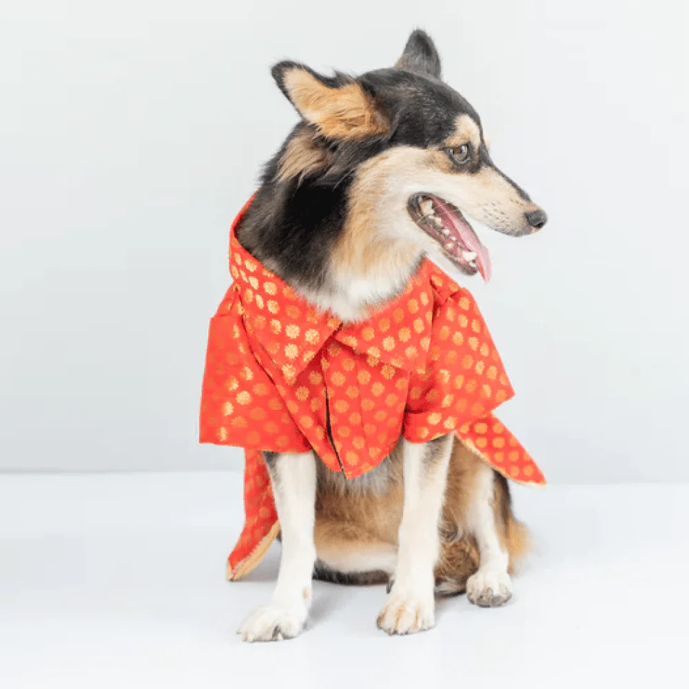 Pawgypets Occasion Wear Dress for Dogs and Cats (Red) - Image 2