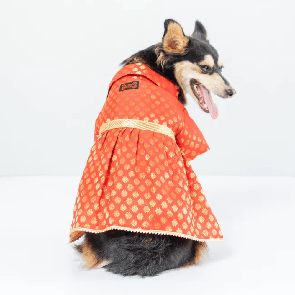 Pawgypets Occasion Wear Dress for Dogs and Cats (Red) - Image 3