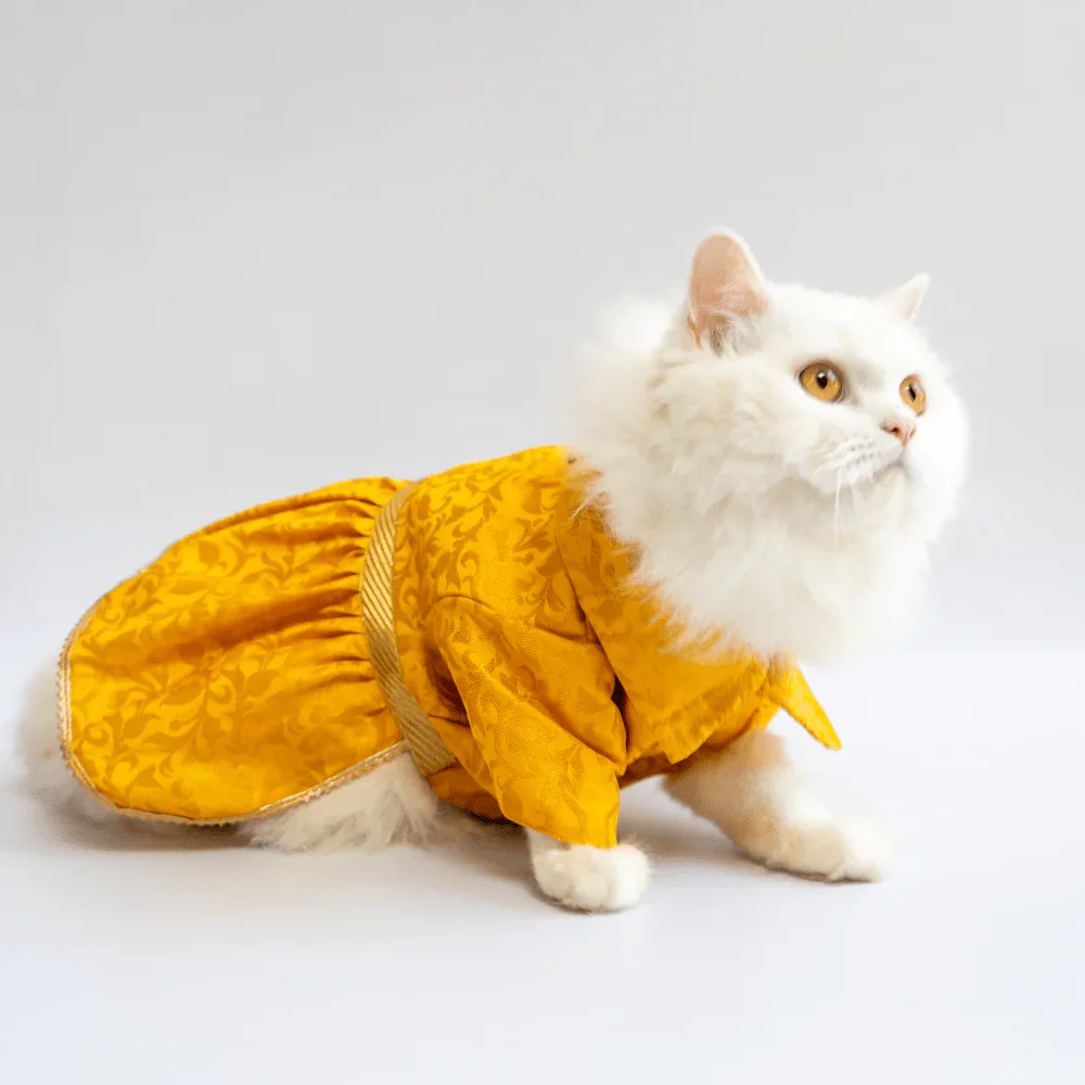 Pawgypets Occasion Wear Dress for Dogs and Cats (Yellow) - Image 2