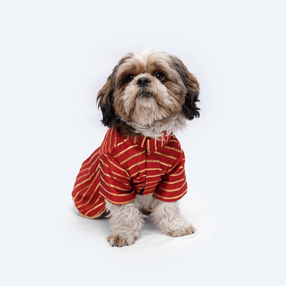Pawgypets Occasion Wear Gota Dress for Dogs and Cats (Red) - Image 4