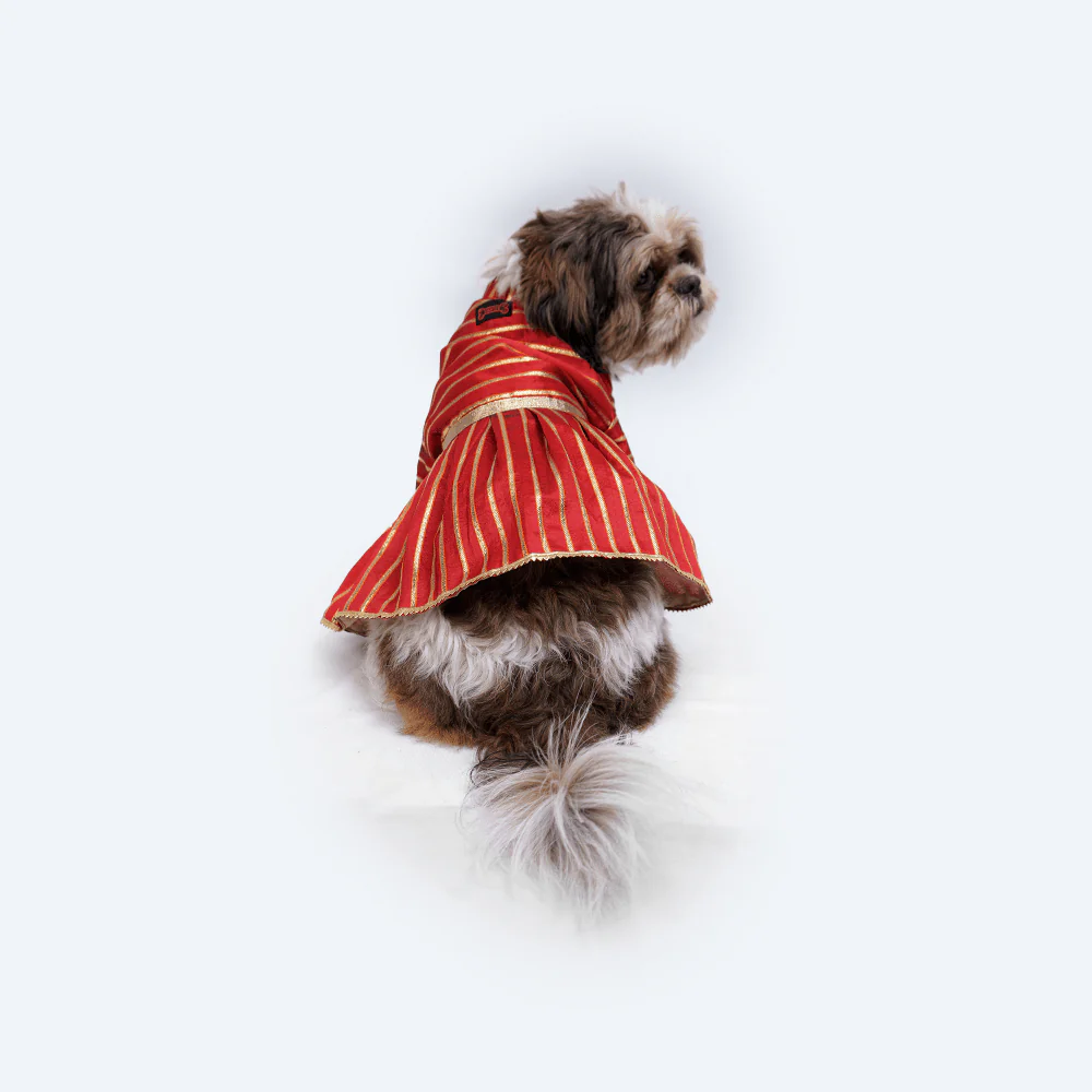 Pawgypets Occasion Wear Gota Dress for Dogs and Cats (Red) - Image 5