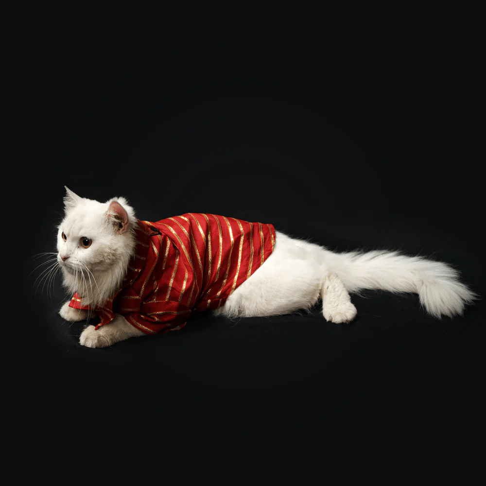 Pawgypets Occasion Wear Gota Shirt for Dogs and Cats (Red) - Image 4