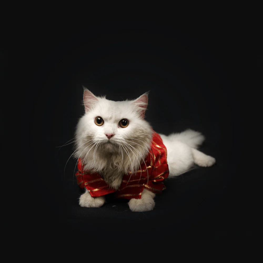 Pawgypets Occasion Wear Gota Shirt for Dogs and Cats (Red) - Image 5
