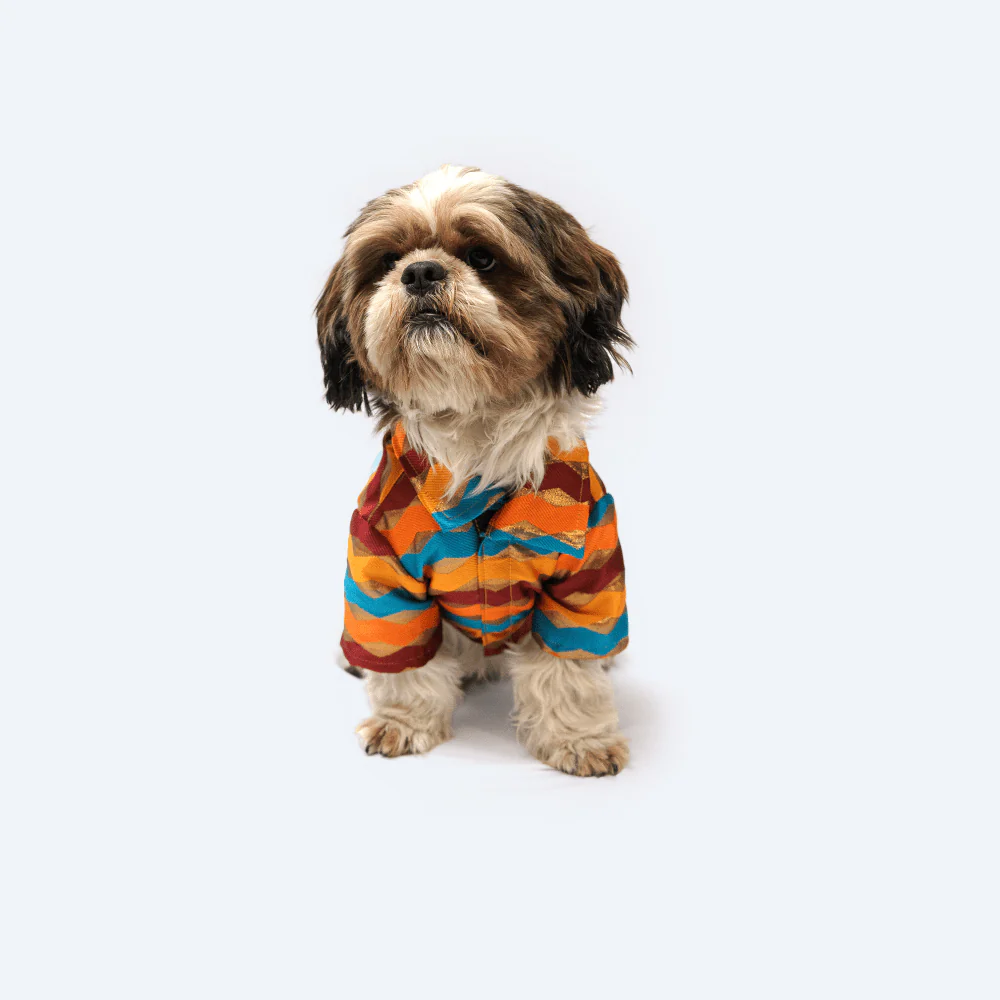 Pawgypets Occasion Wear Shirt for Dogs and Cats (Multi Stripe) - Image 4