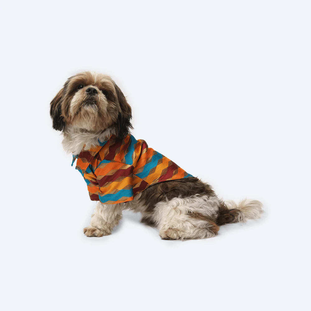 Pawgypets Occasion Wear Shirt for Dogs and Cats (Multi Stripe) - Image 5