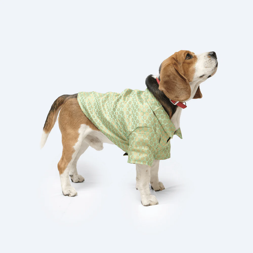 Pawgypets Occasion Wear Shirt for Dogs and Cats (Pista Green) - Image 3