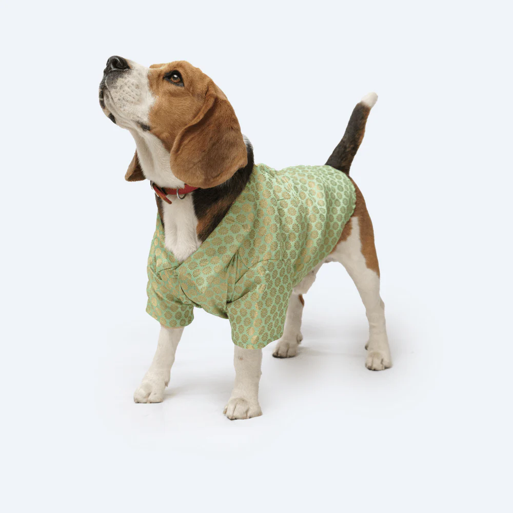Pawgypets Occasion Wear Shirt for Dogs and Cats (Pista Green) - Image 4