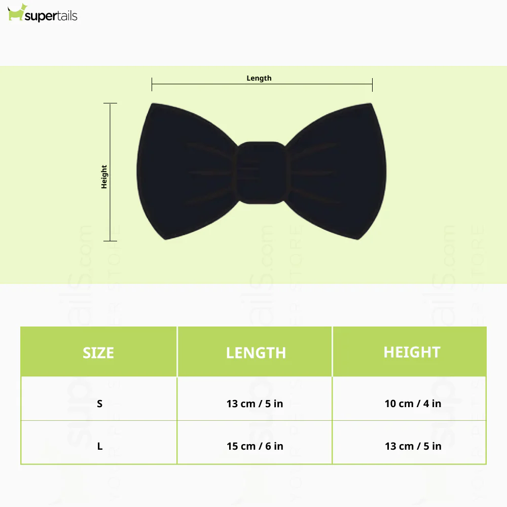 Pawgypets Party Wear Bowtie for Dogs and Cats (Black) - Image 3