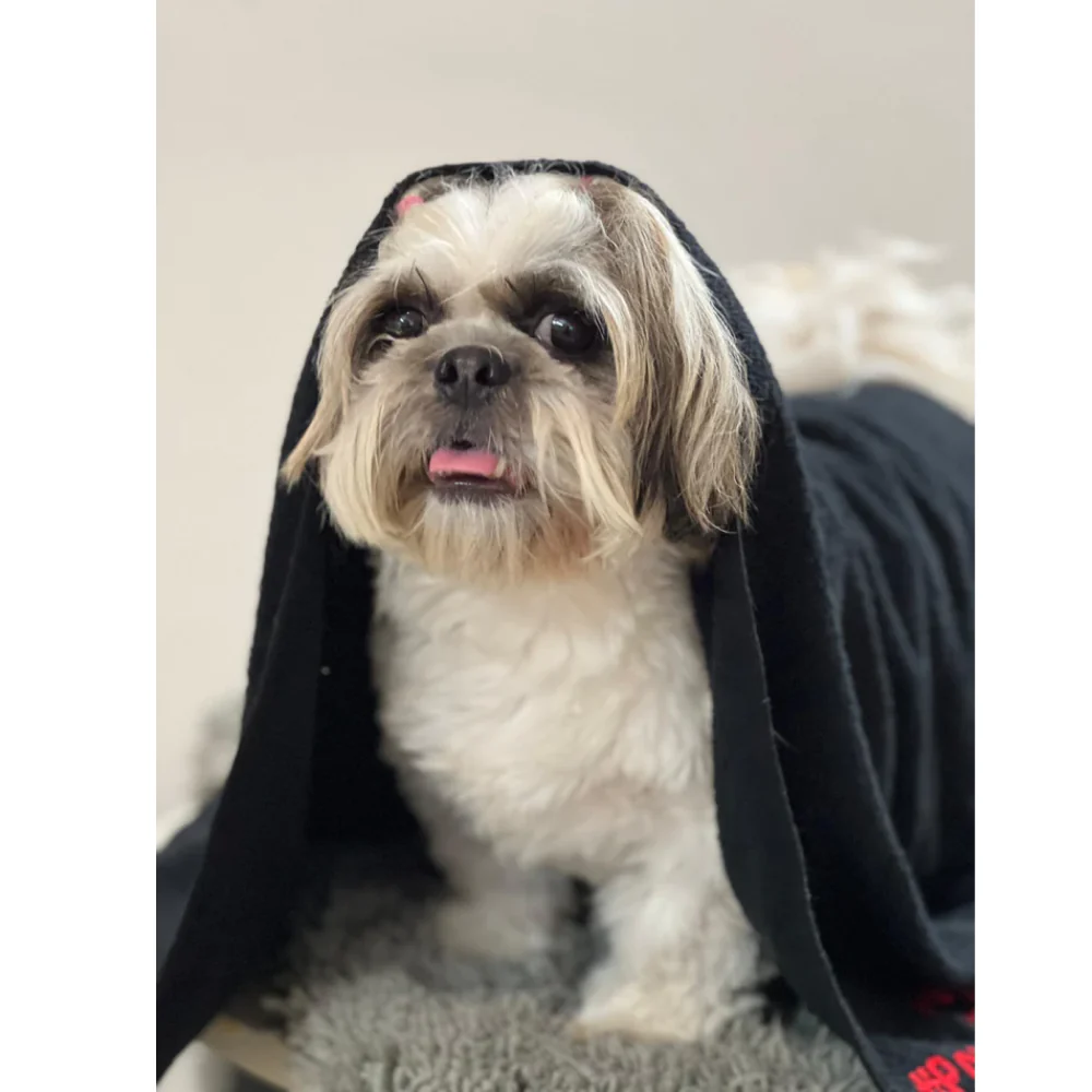 Pawgypets Pet Towel for Dogs and Cats (Black) - Image 2