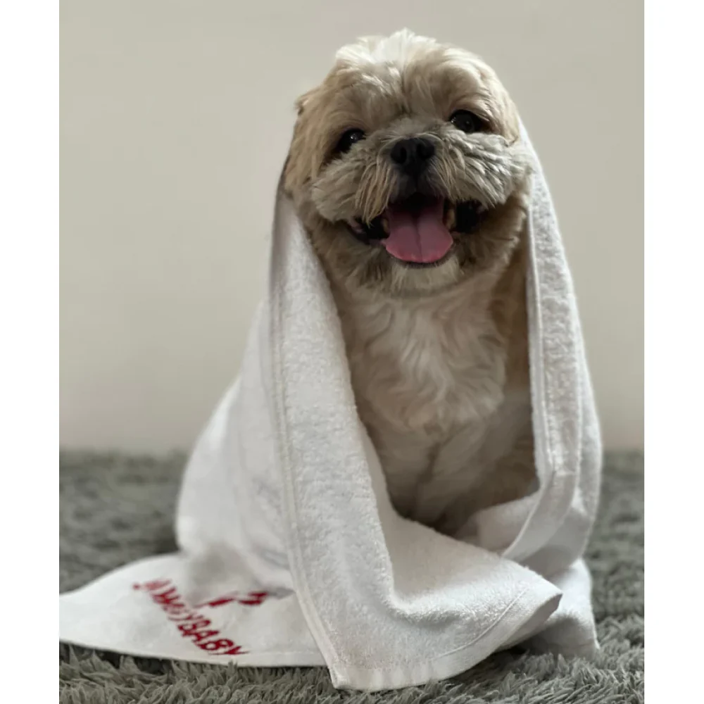 Pawgypets Pet Towel for Dogs and Cats (White) - Image 2