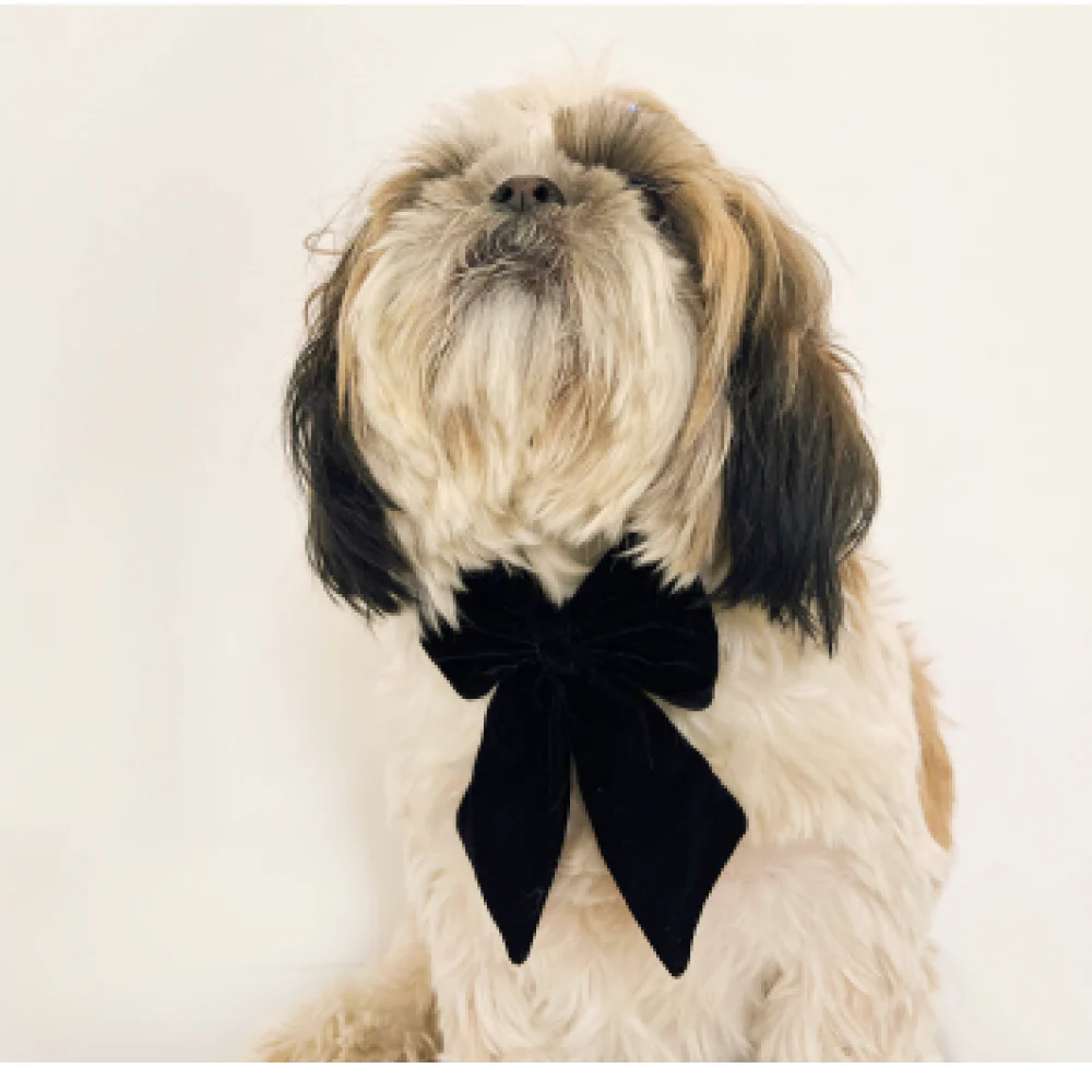 Pawgypets Pigtail Bowtie for Dogs and Cats - Image 3