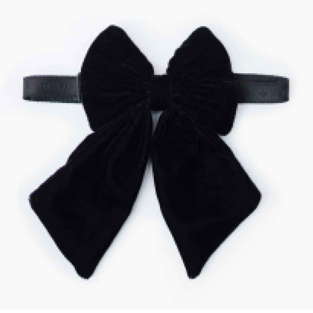 Pawgypets Pigtail Bowtie for Dogs and Cats - Image 4