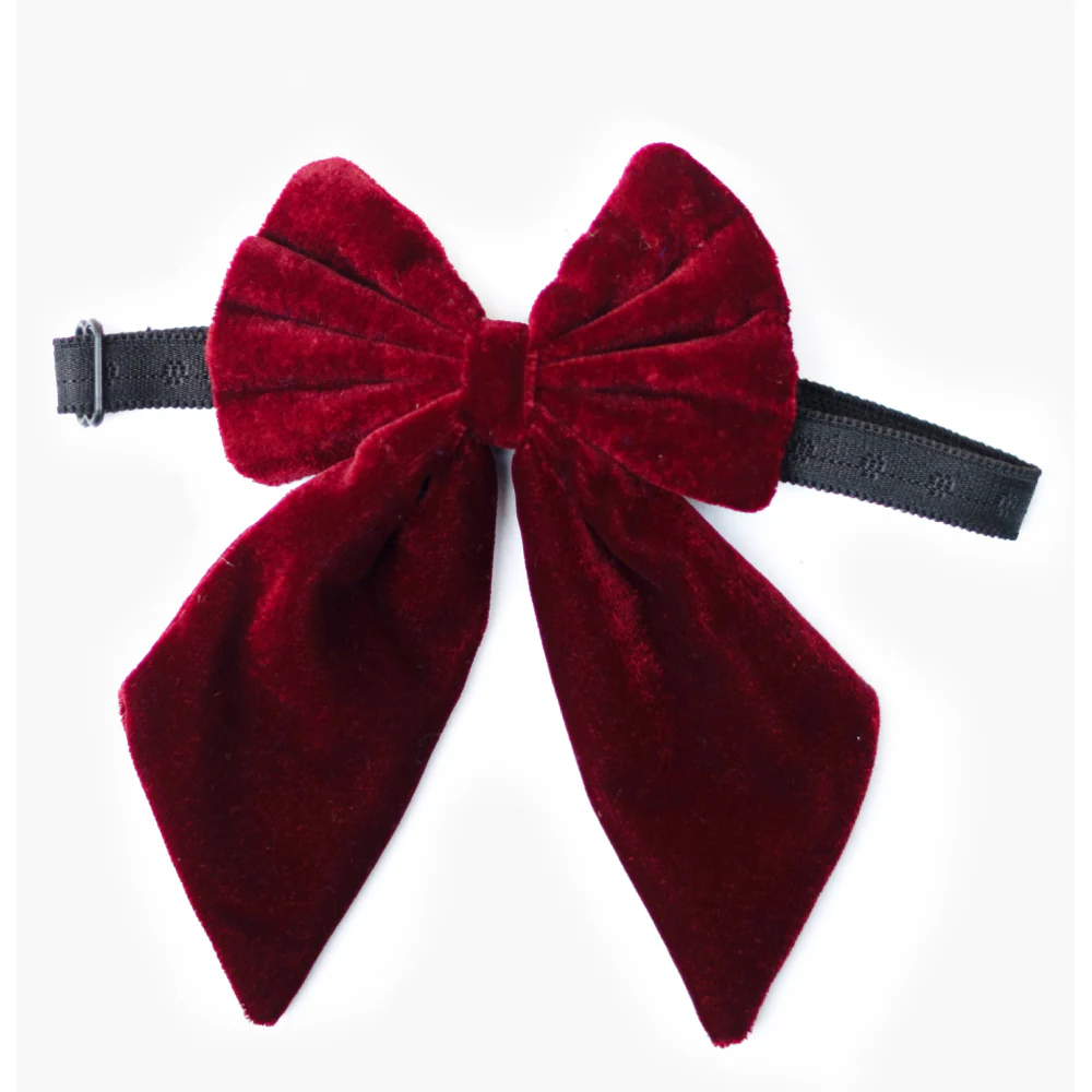 Pawgypets Pigtail Bowtie for Dogs and Cats (Maroon) - Image 2