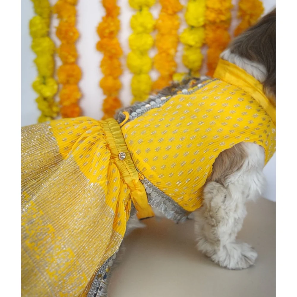 Pawgypets Pleaty Lehenga for Dogs and Cats (Yellow) - Image 3
