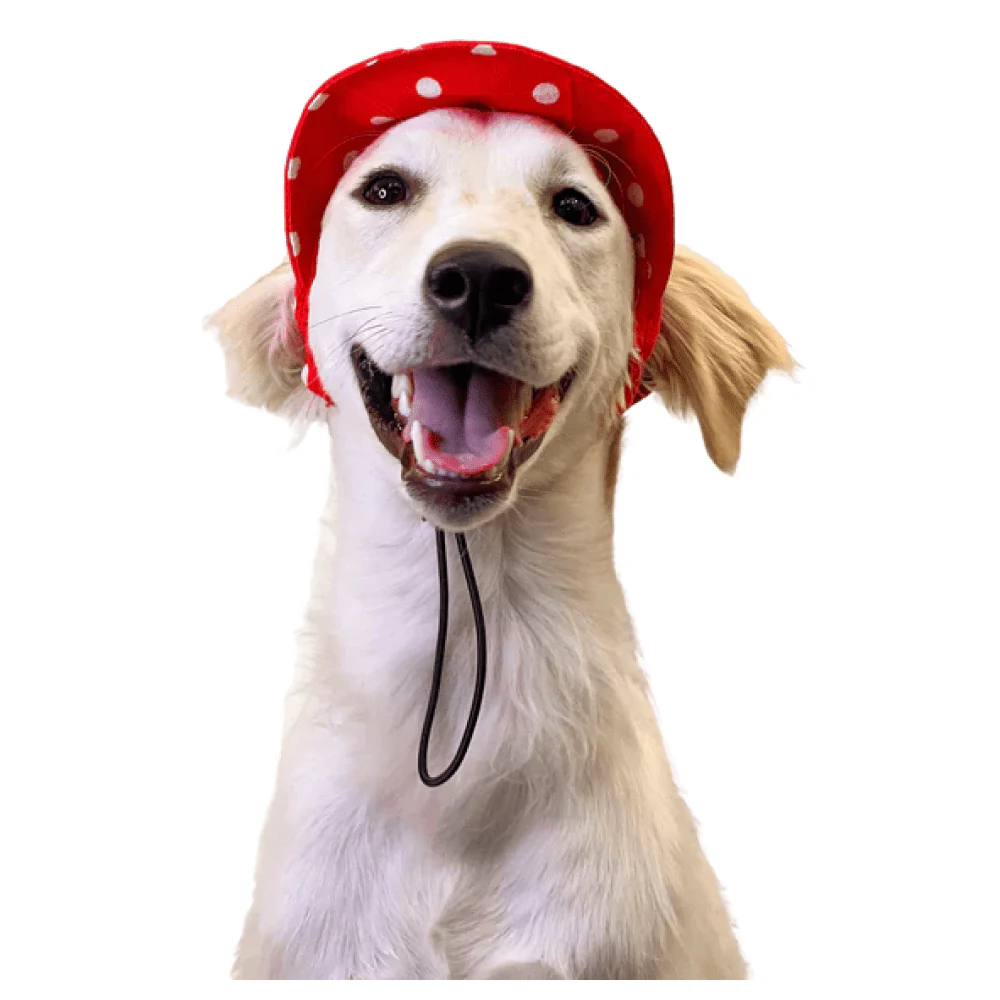 Pawgypets Polka Cap for Dogs and Cats (Red) - Image 2