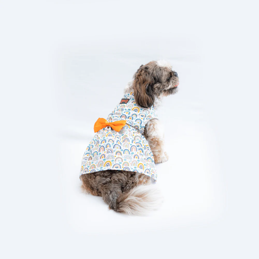 Pawgypets Rainbow Casual Dress for Dogs and Cats - Image 4