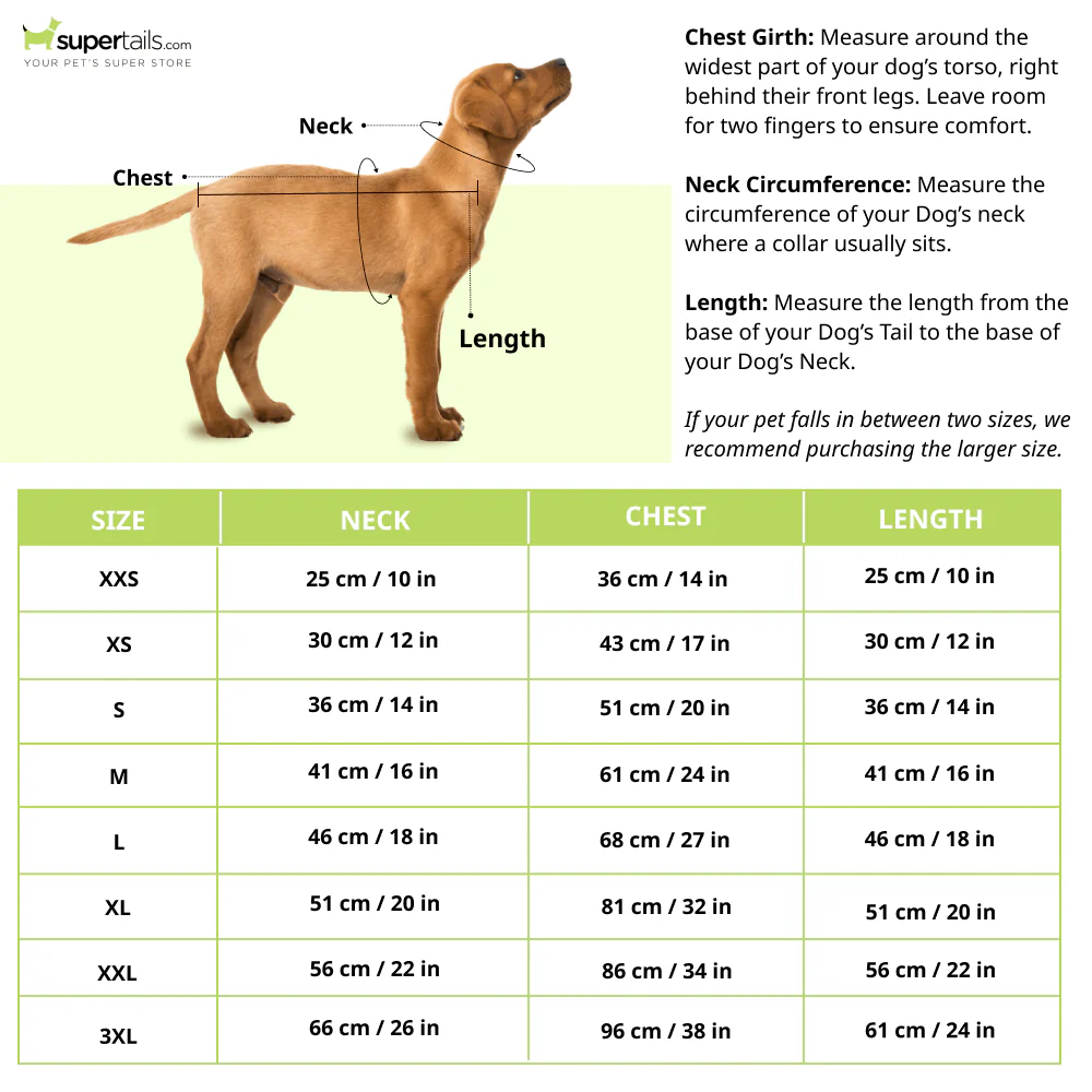 Pawgypets Rainbow Casual Dress for Dogs and Cats - Image 5