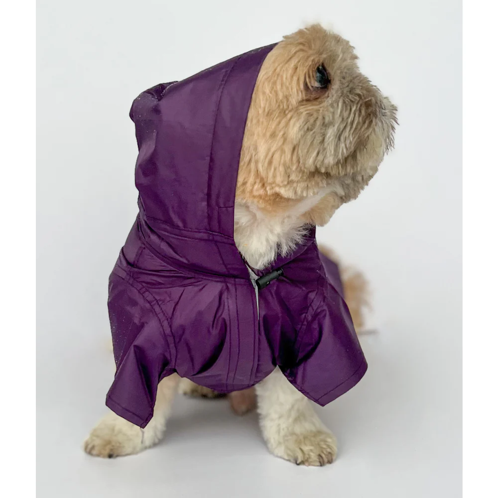 Pawgypets Raincoat for Dogs and Cats (Purple) - Image 3