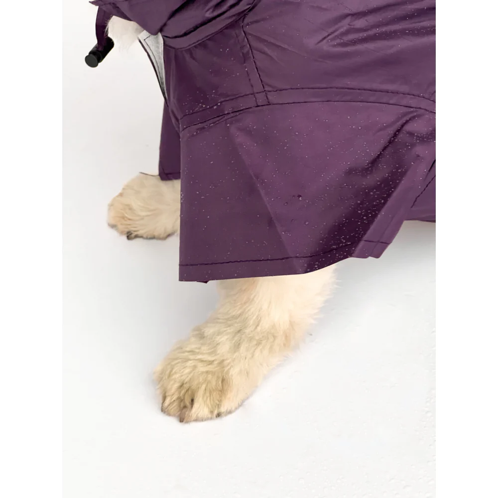 Pawgypets Raincoat for Dogs and Cats (Purple) - Image 4