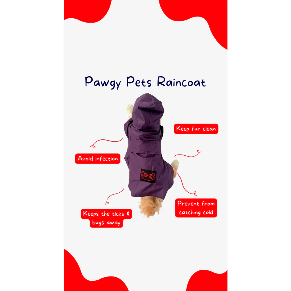 Pawgypets Raincoat for Dogs and Cats (Purple) - Image 6
